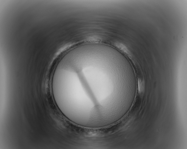X0000086750579200704201727