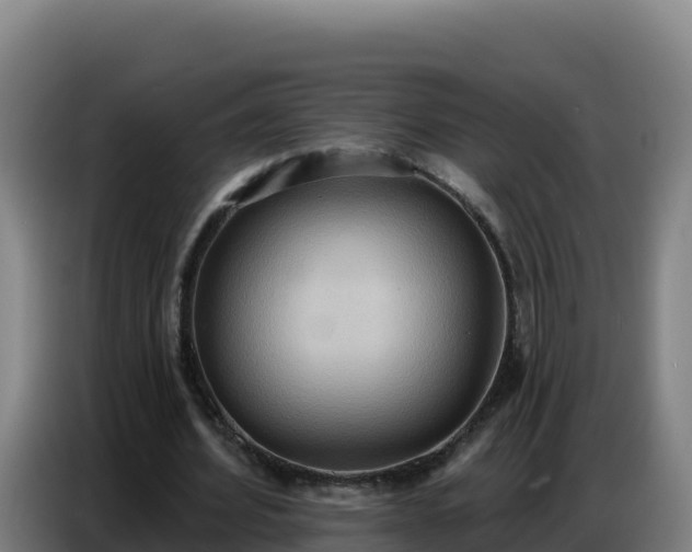 X0000086750580200704201727