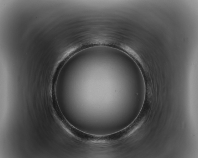 X0000086750581200704201727
