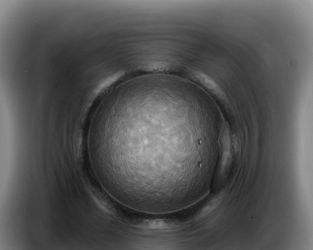 X0000086750588200704201727