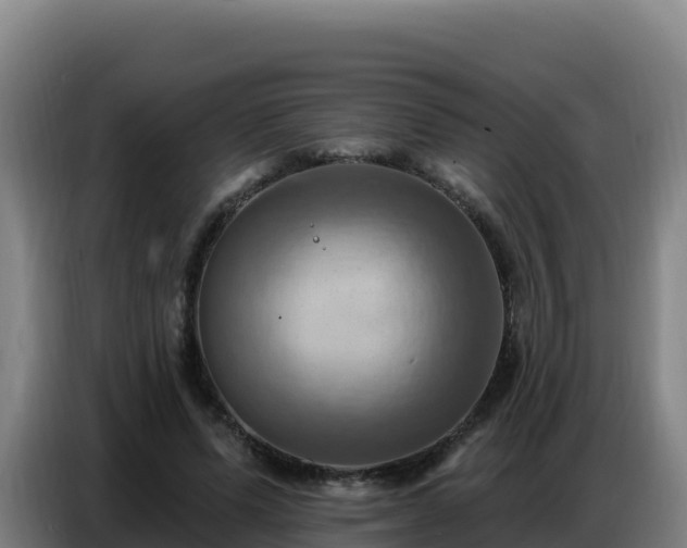 X0000086750591200704201727