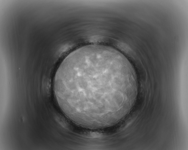 X0000086750592200704201727