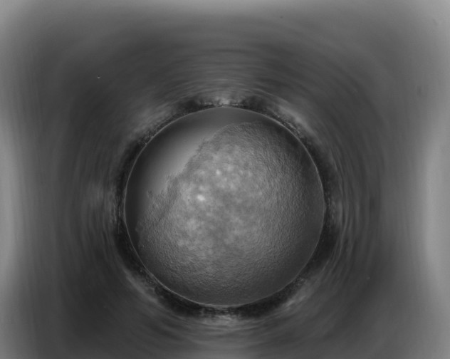 X0000086750594200704201727
