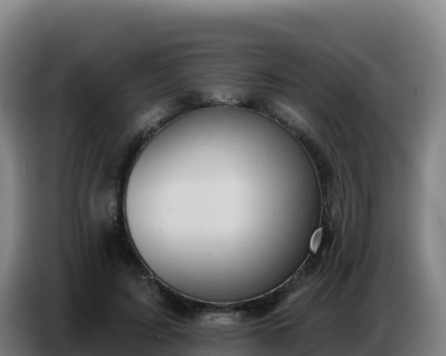 X0000086750595200704201727