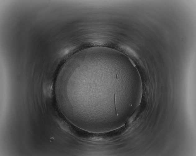 X0000086750596200704201727