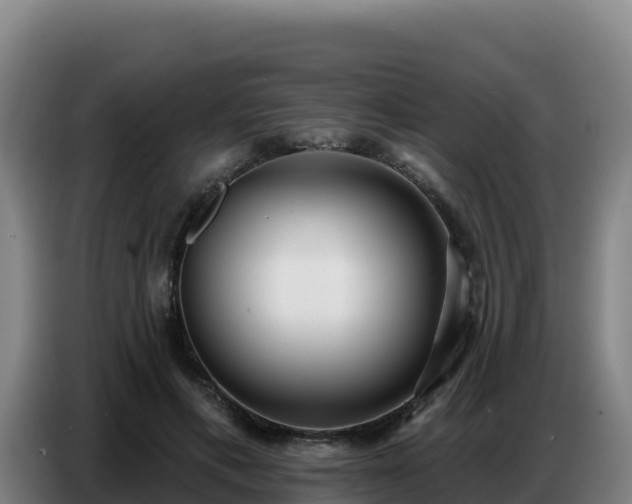 X0000086750597200704201727