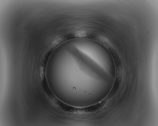 X0000086750598200704201727