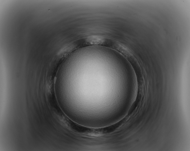 X0000086750604200704201726