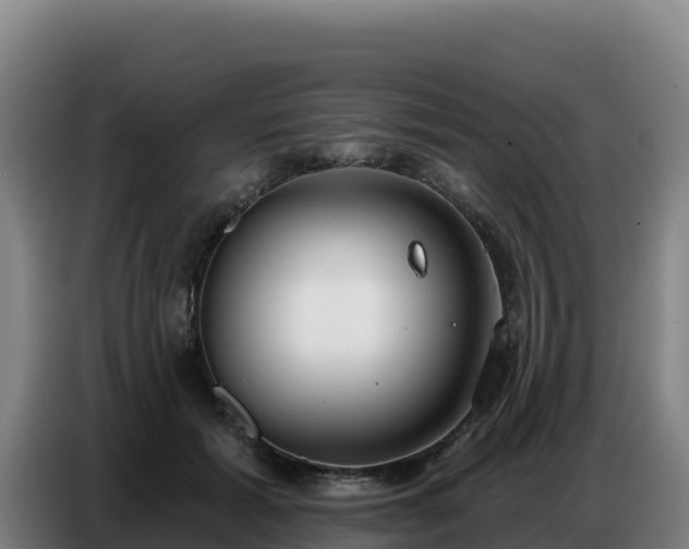 X0000086750605200704201726