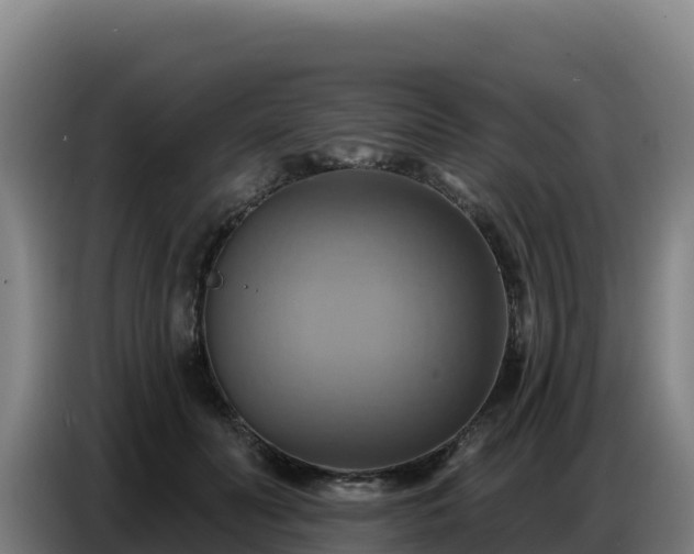 X0000086750606200704201726