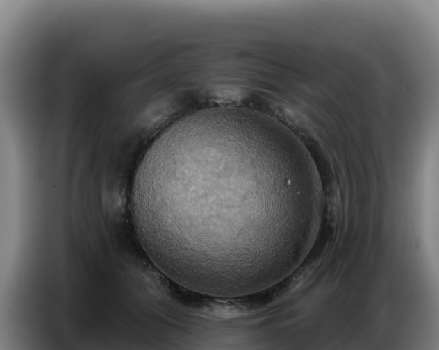 X0000086750608200704201726