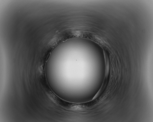 X0000086750611200704201726