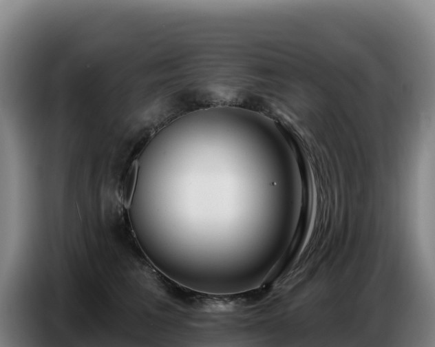 X0000086750613200704201726