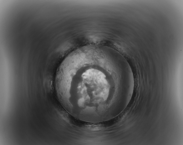 X0000086750615200704201726