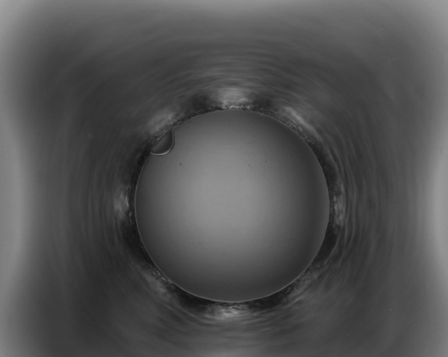 X0000086750618200704201726