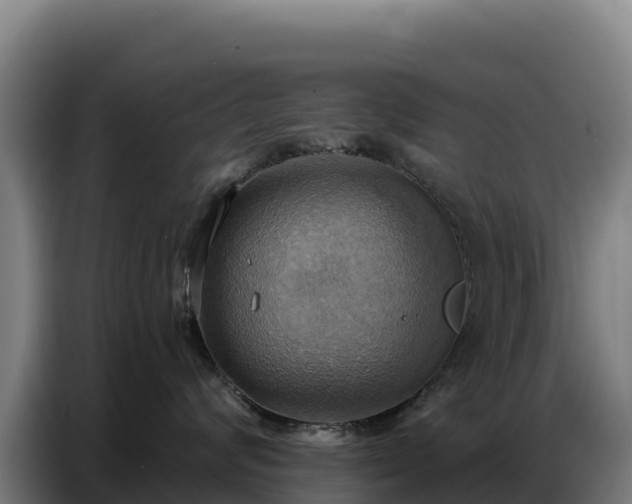 X0000086750624200704201726