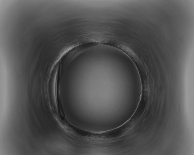 X0000086750626200704201726