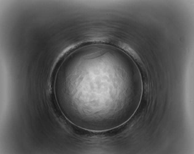 X0000086750628200704201726