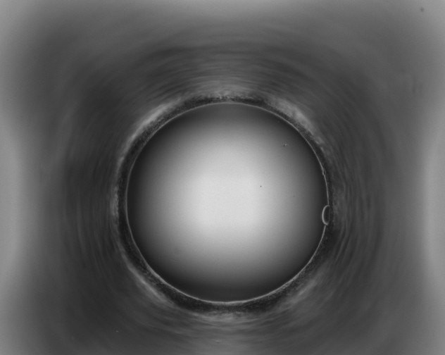 X0000086750629200704201726