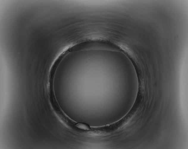 X0000086750630200704201726