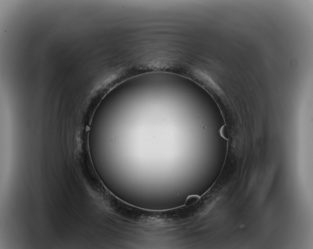 X0000086750635200704201726
