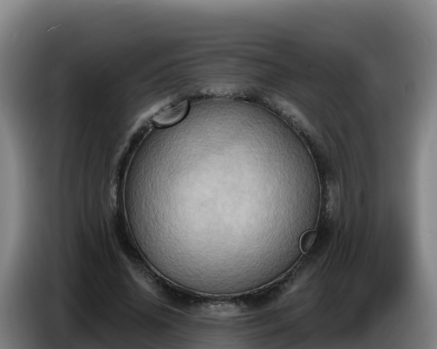 X0000086750636200704201726
