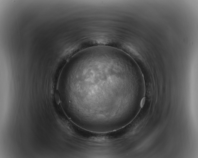 X0000086750639200704201726