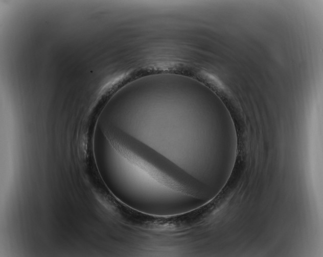 X0000086750640200704201726