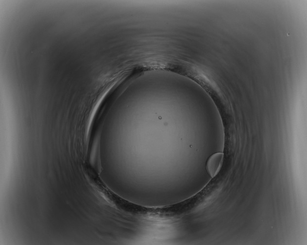 X0000086750641200704201726