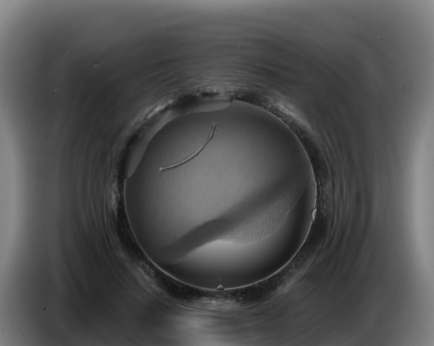 X0000086750644200704201726