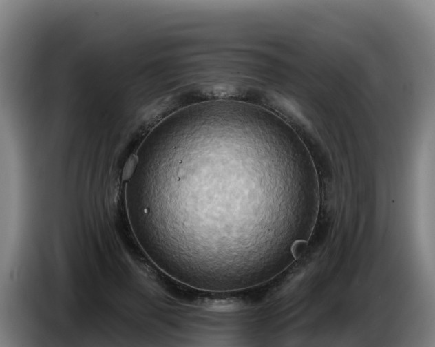 X0000086750645200704201726