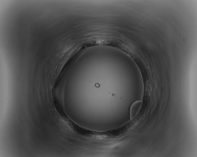 X0000086750650200704201726