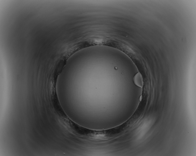 X0000086750651200704201726