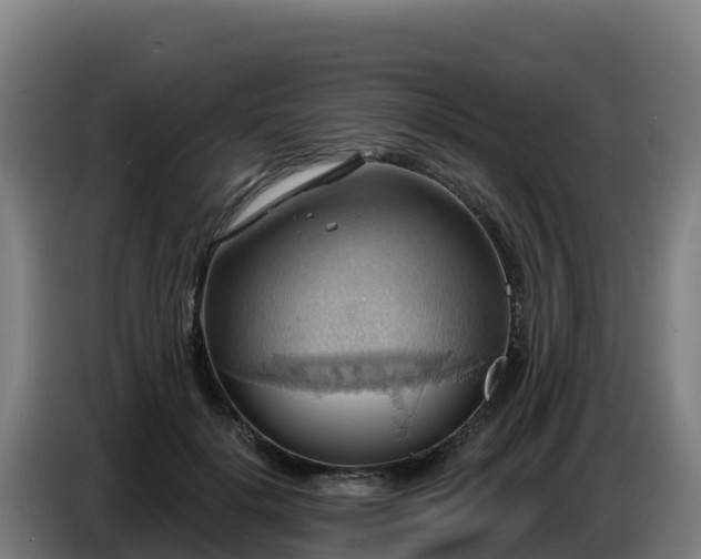 X0000086750652200704201726