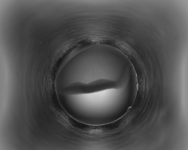X0000086750653200704201726