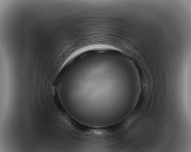 X0000086750654200704201726
