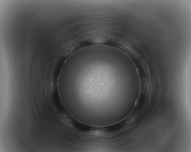 X0000086750655200704201726