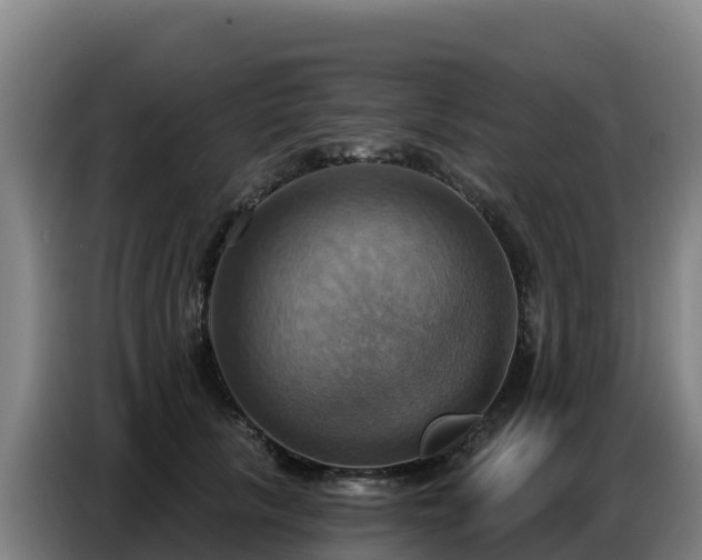 X0000086750657200704201726