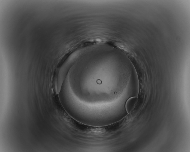 X0000086750659200704201726