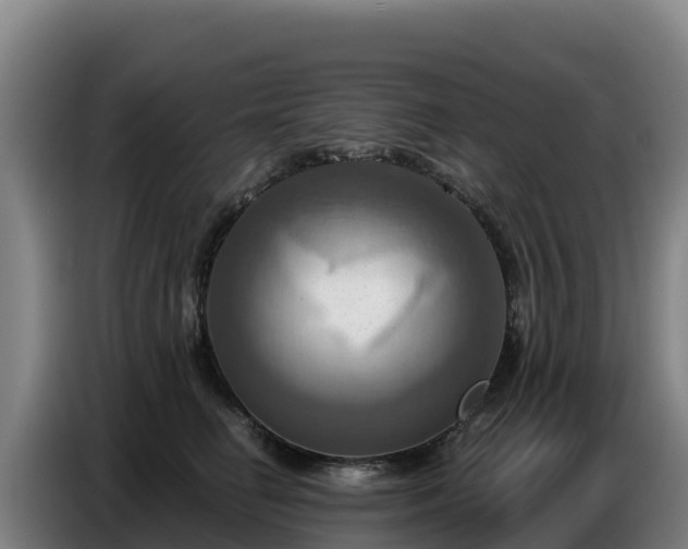 X0000086750662200704201726
