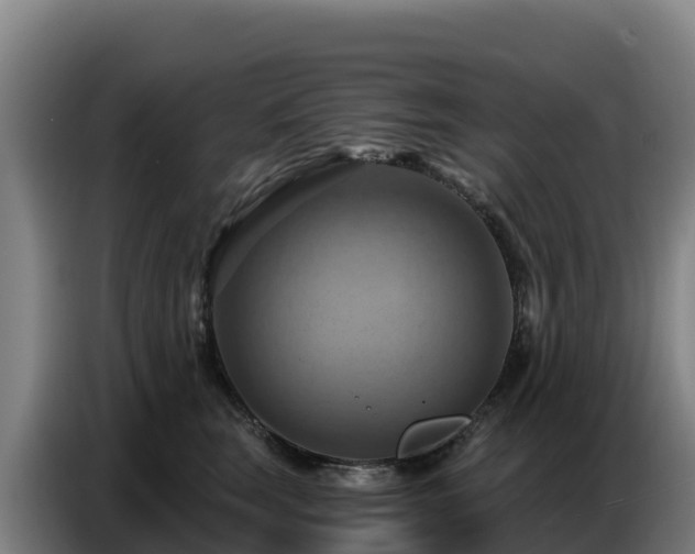 X0000086750663200704201726