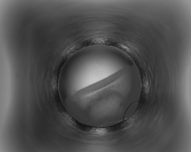 X0000086750665200704201726