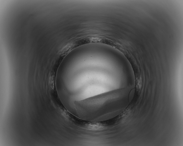 X0000086750666200704201726