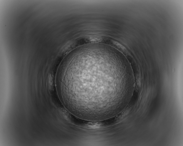 X0000086750667200704201726