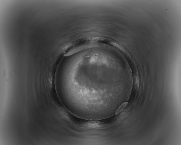 X0000086750668200704201726