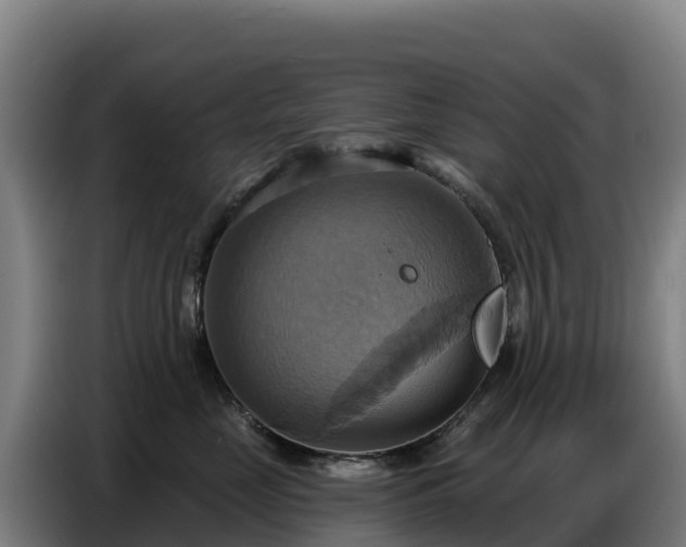 X0000086750669200704201726