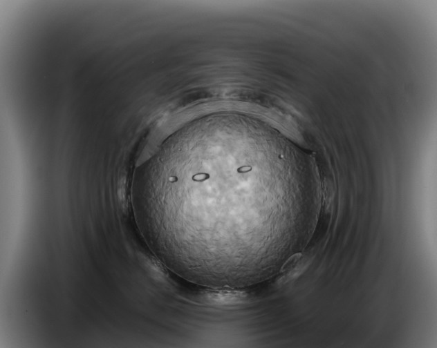 X0000086750670200704201726