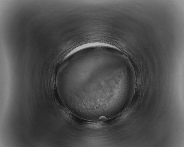 X0000086750671200704201726