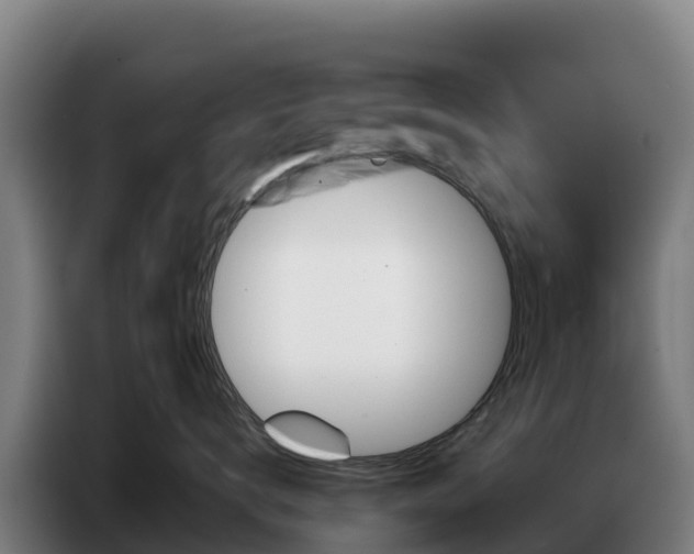 X0000086750672200704201726