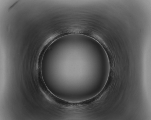 X0000086750674200704201726